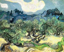 Van Gogh: Les Alpilles avec Olive Trees 1889